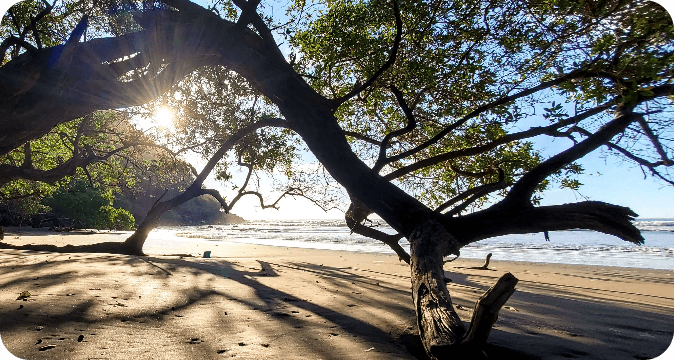 Conserving ecosystems