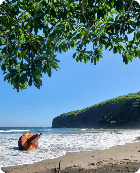 Natural coastline of Oriente Salvaje with tropical vegetation